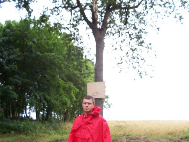 31805.jpg