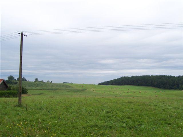 31808.jpg