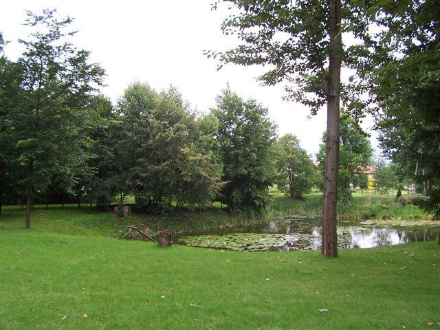 31812.jpg