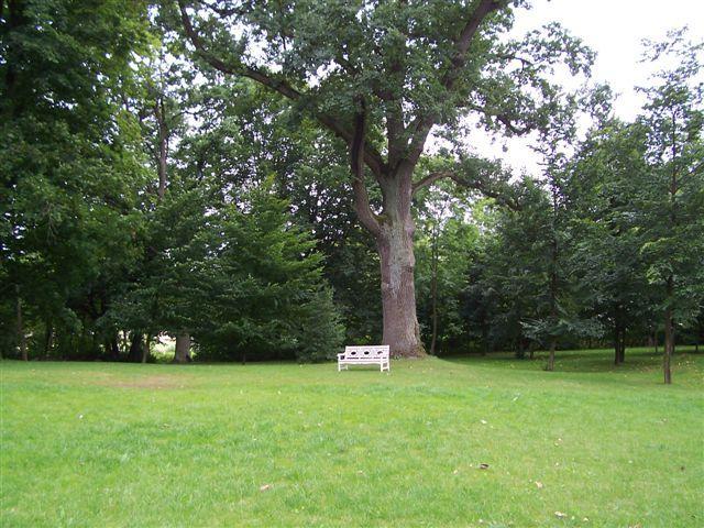 31813.jpg