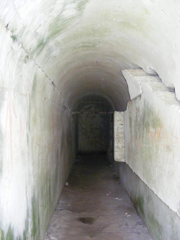 32369.jpg