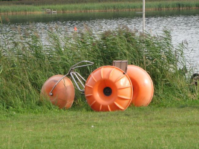 32554.jpg