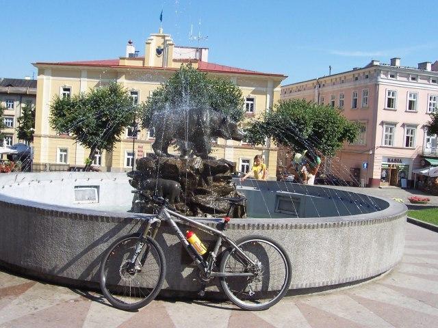 32562.jpg