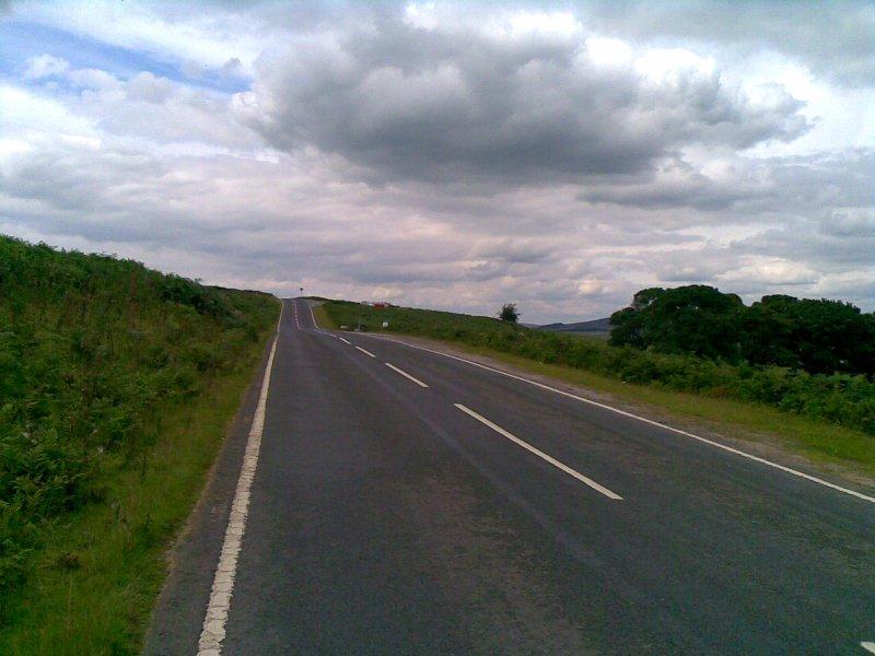 ilkley, yorkshire, cow calf