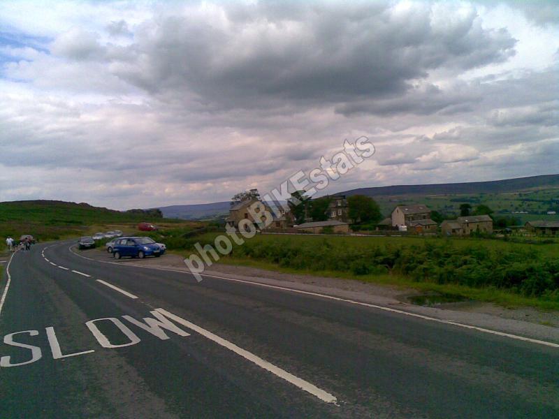 ilkley, yorkshire, cow calf