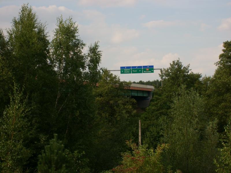 32603.jpg