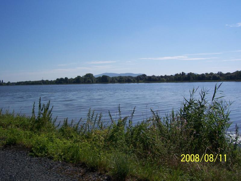 morawy 2008