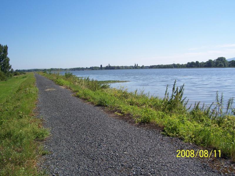 morawy 2008