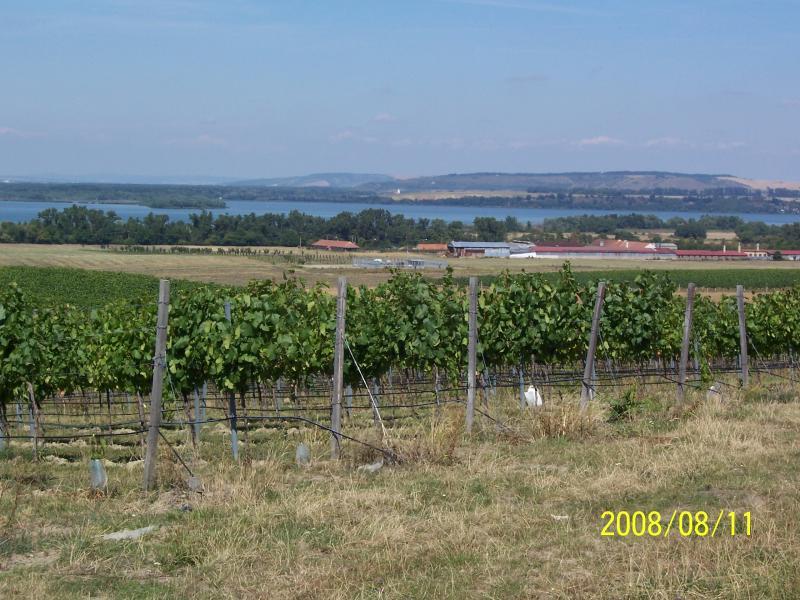 morawy 2008