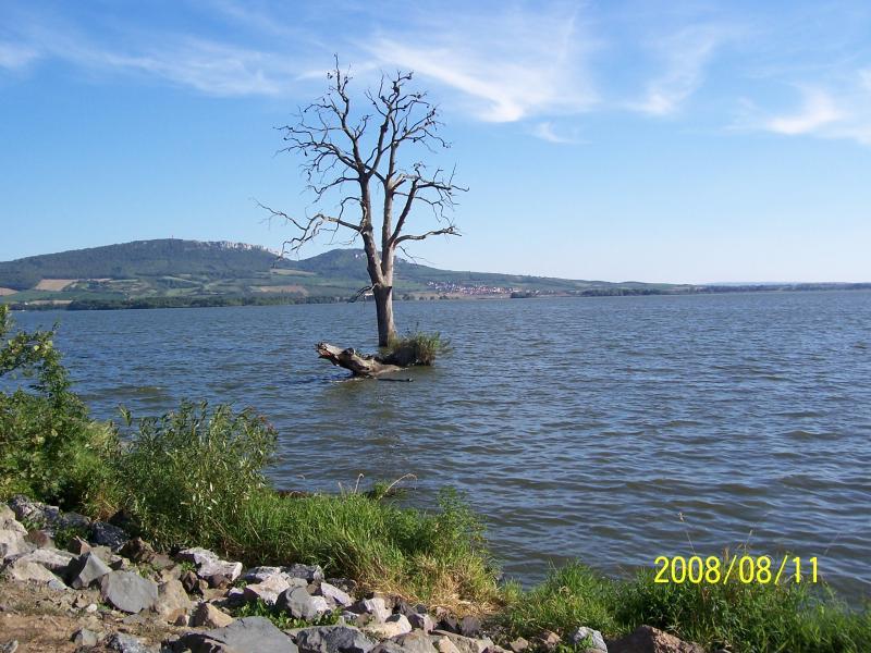 morawy 2008
