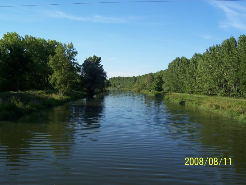 morawy 2008