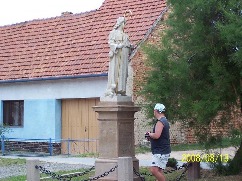 morawy 2008