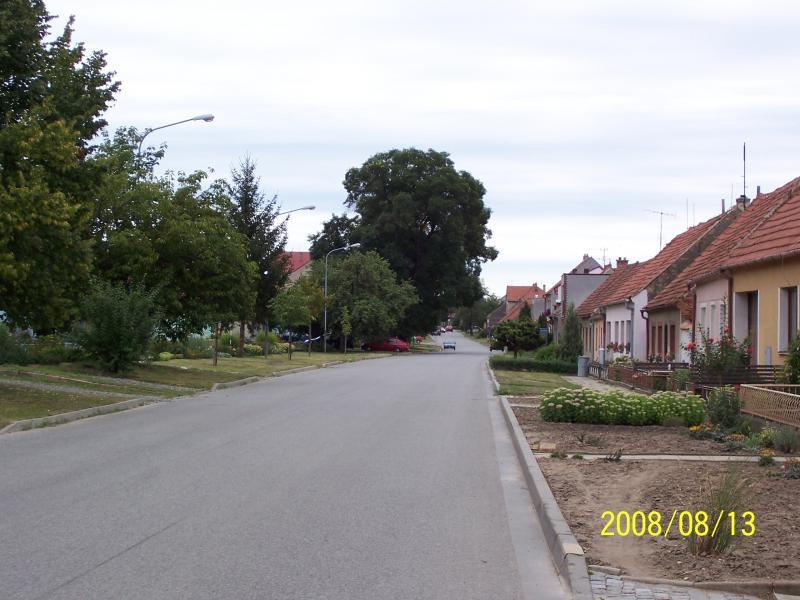 morawy 2008
