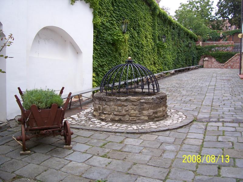 morawy 2008