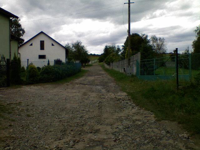 32684.jpg