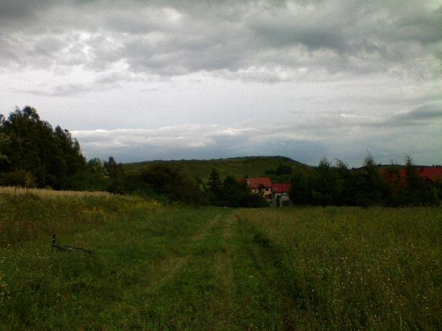 32685.jpg