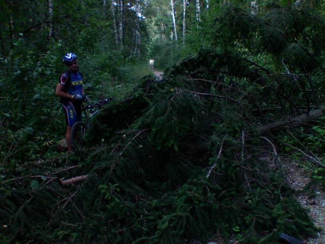32688.jpg