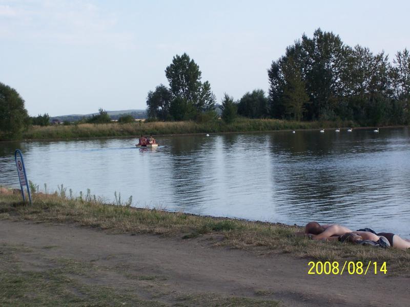 morawy 2008