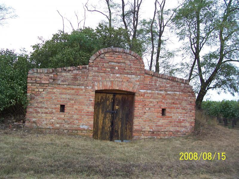 morawy 2008