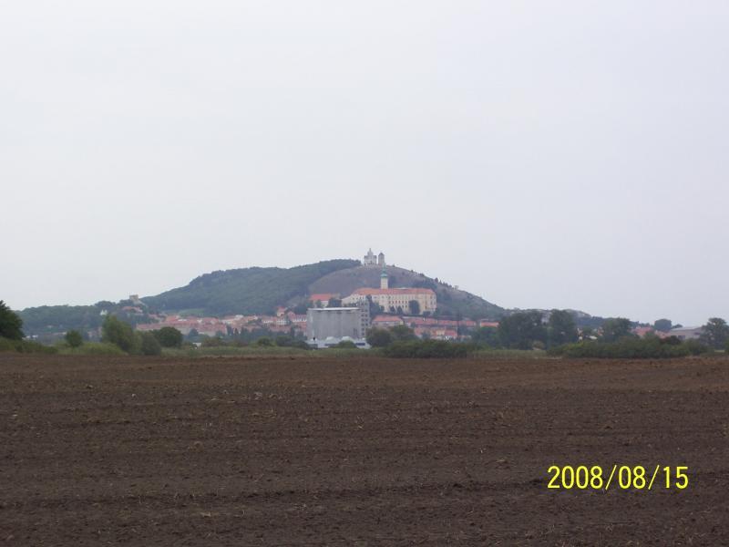 morawy 2008