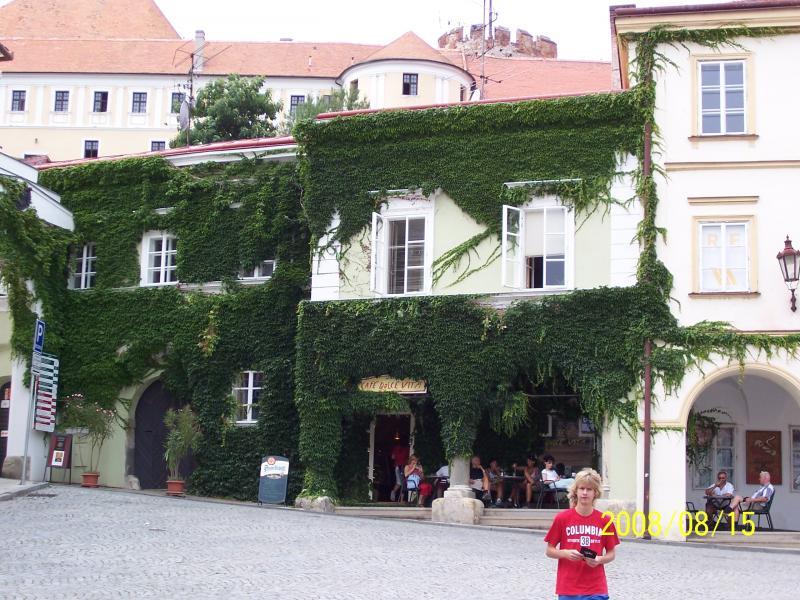 morawy 2008