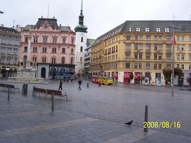 morawy 2008