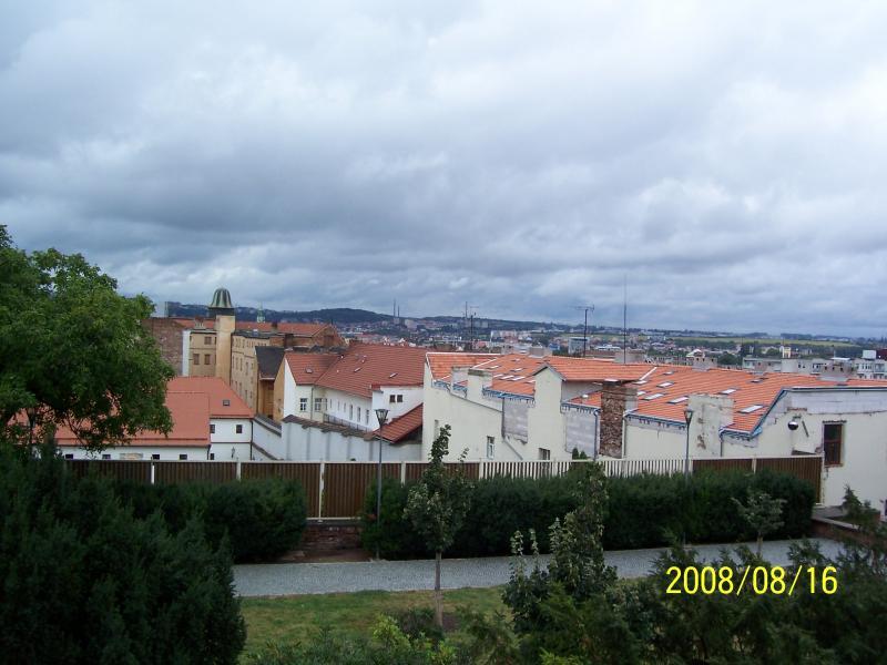 morawy 2008
