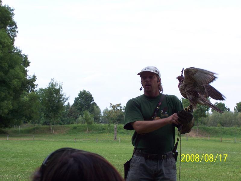 morawy 2008
