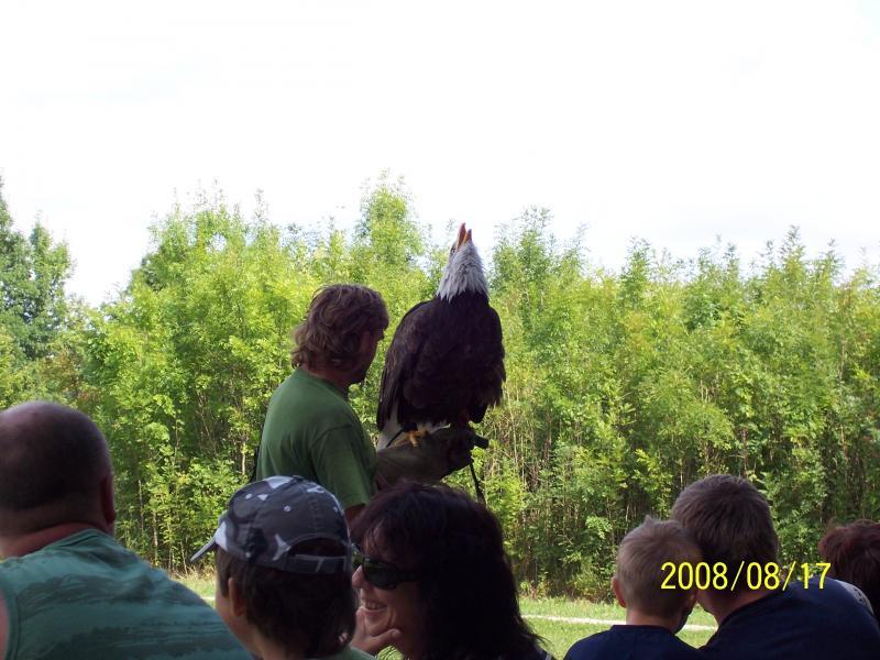 morawy 2008