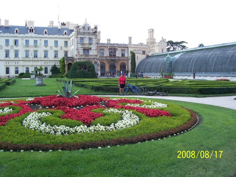 morawy 2008