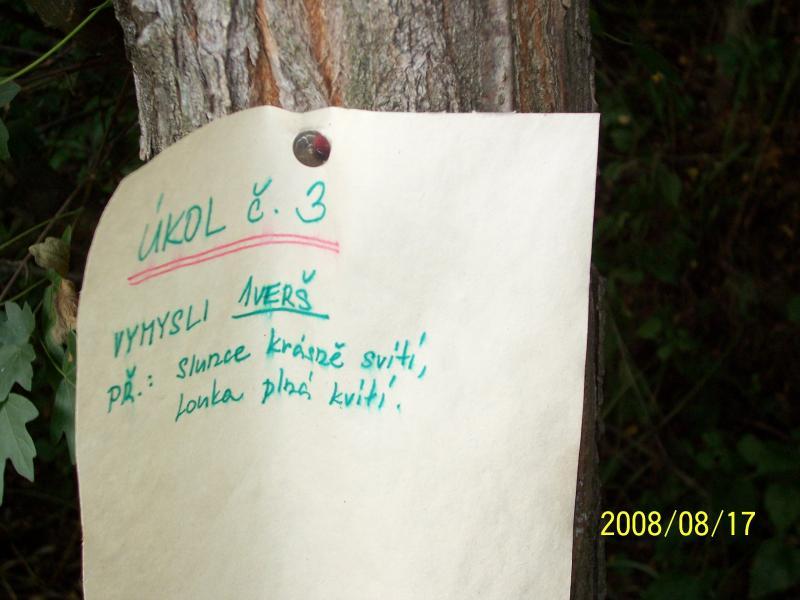 morawy 2008