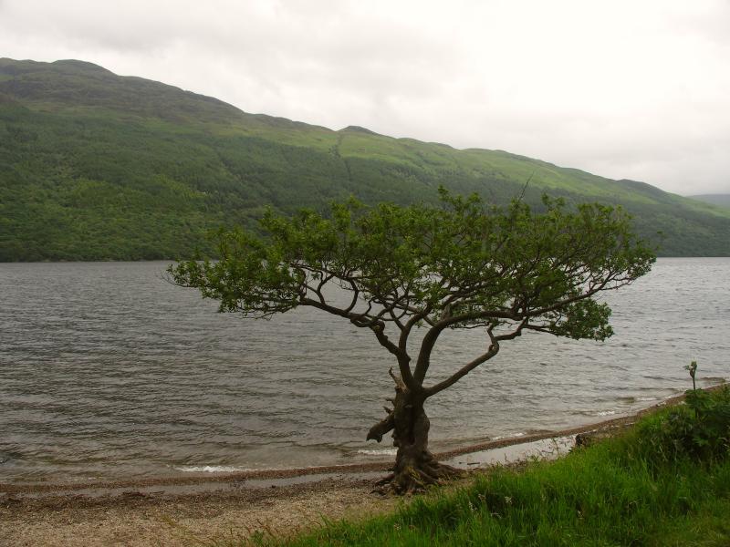 wyprawa, scotland, loch lomond