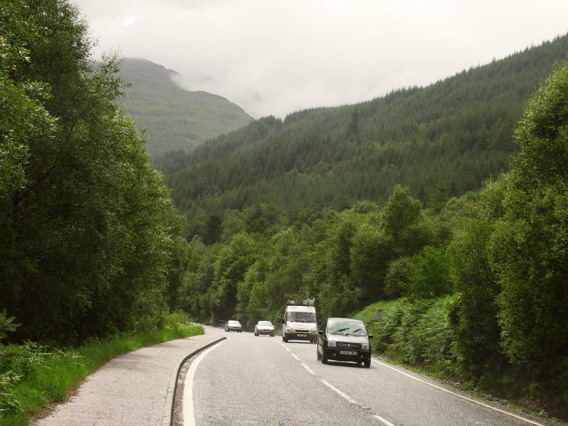park, scotland, argyll, forest