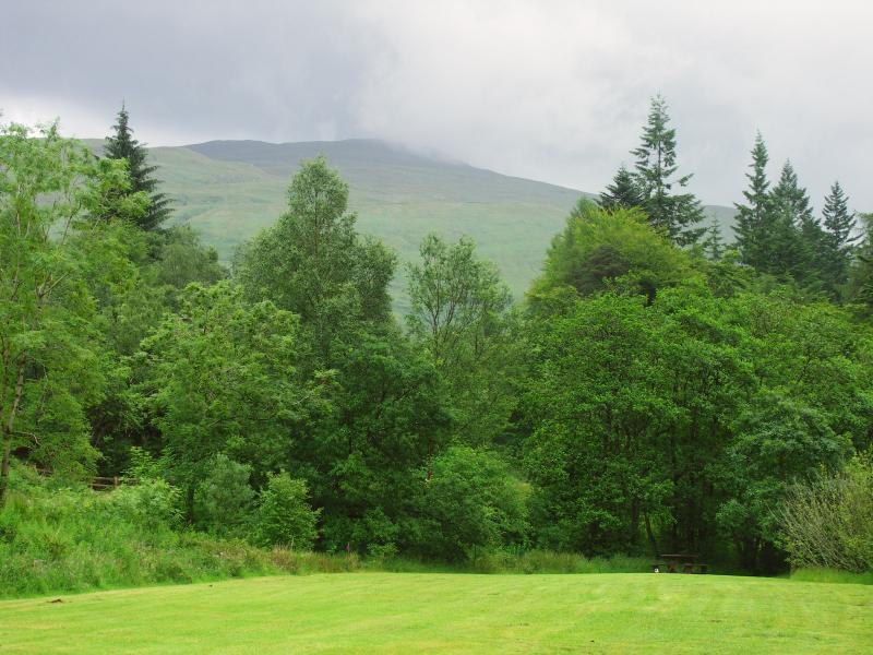 park, scotland, argyll, forest