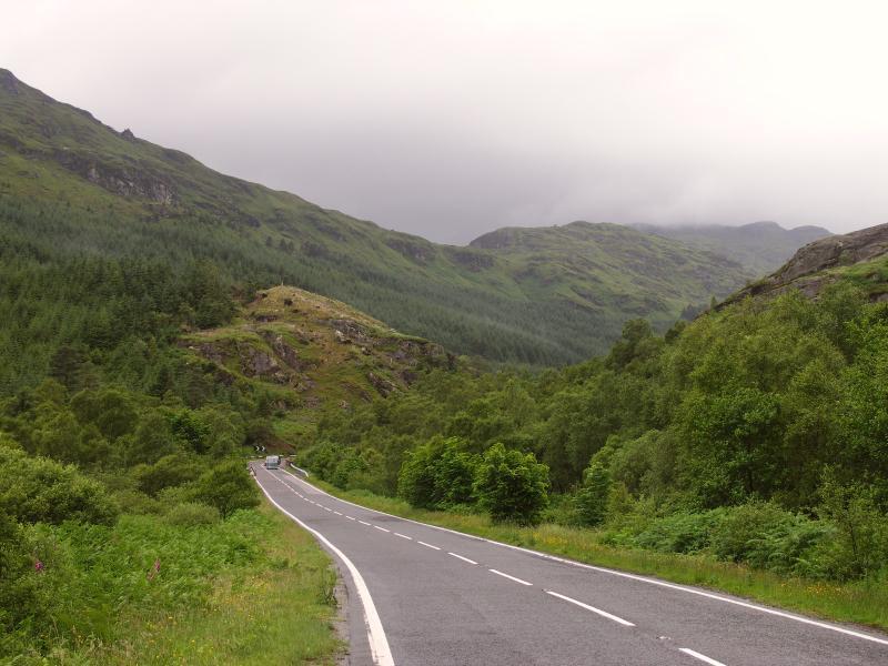 park, scotland, argyll, forest