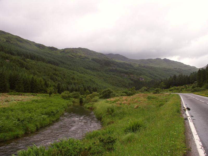 park, scotland, argyll, forest