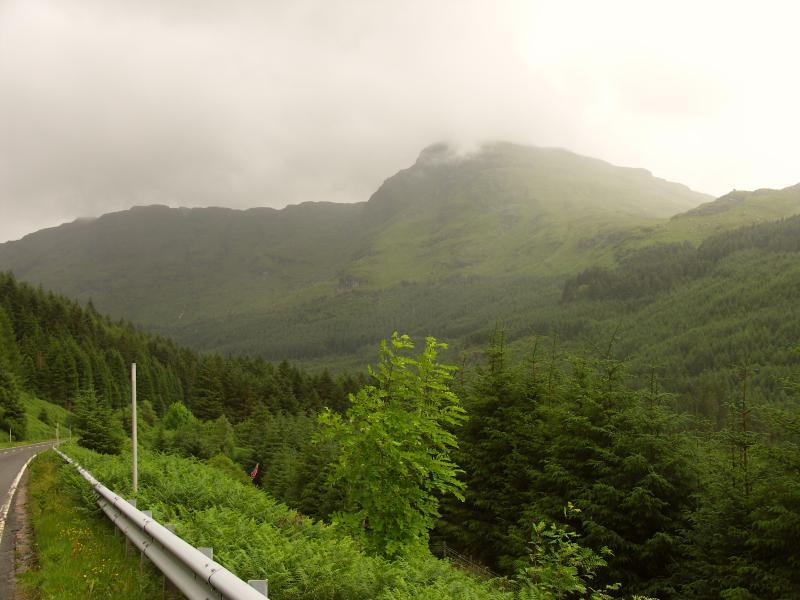 park, scotland, argyll, forest