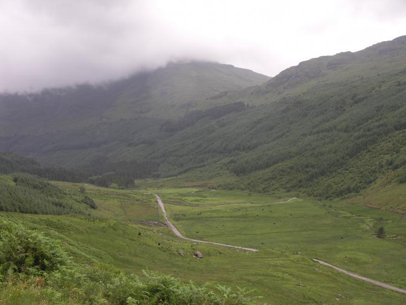 park, scotland, argyll, forest