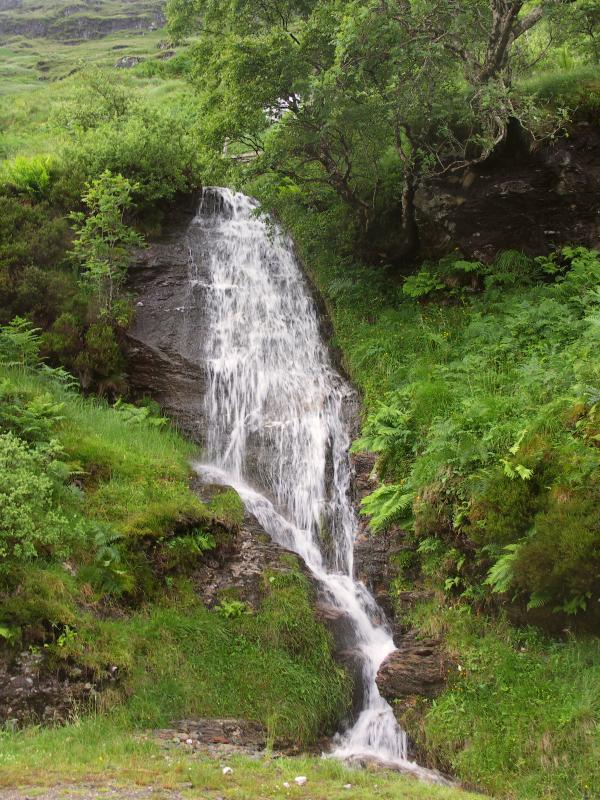 park, scotland, argyll, forest