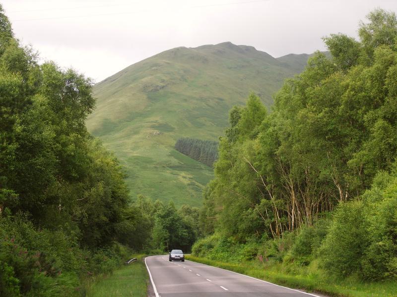 park, scotland, argyll, forest