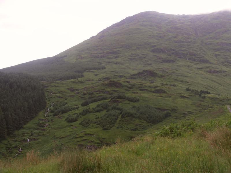 park, scotland, argyll, forest