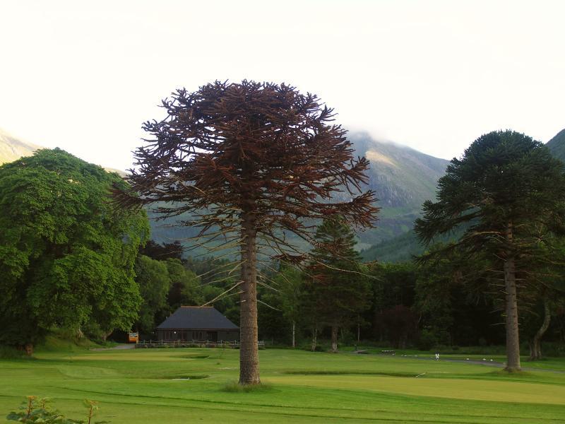 scotland, loch linnhe, highlands