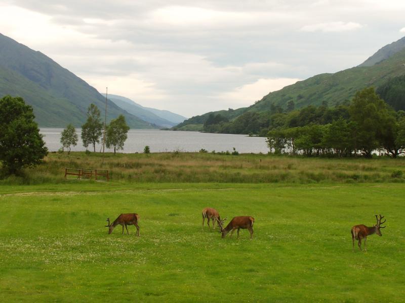 scotland, highlands, glenfinnan
