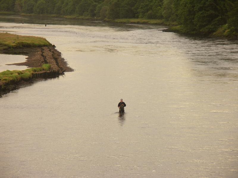 scotland, highlands, bonar bridge