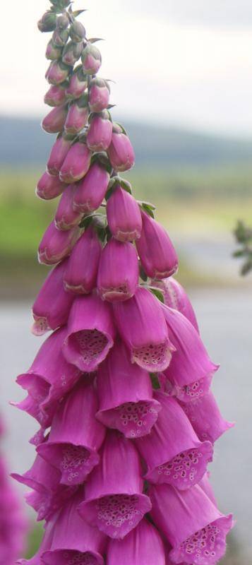 scotland, highlands, sutherland, loch naver