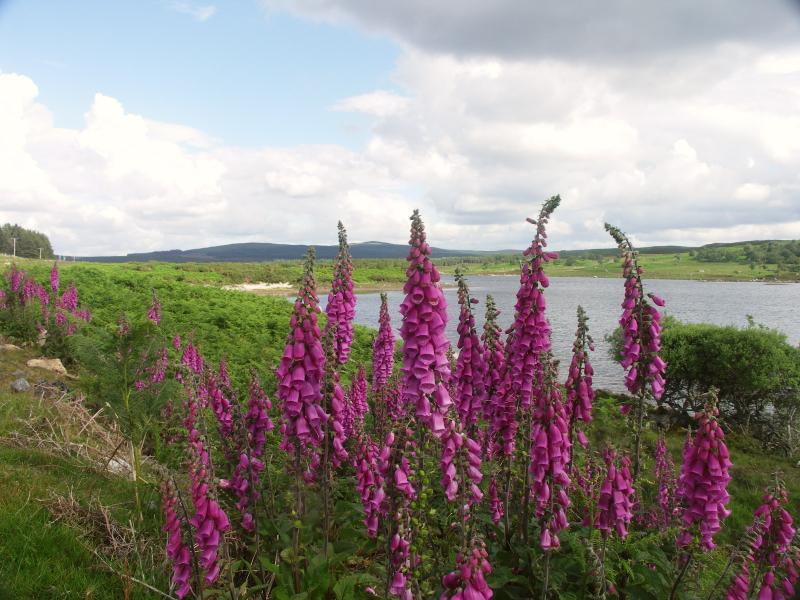 scotland, highlands, sutherland, loch naver