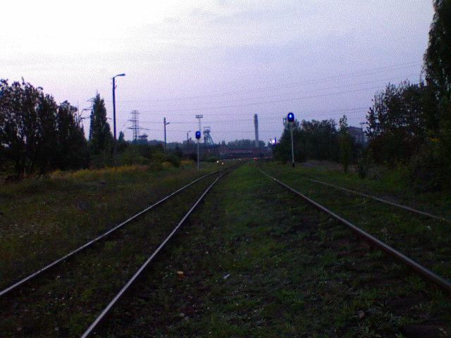 33484.jpg