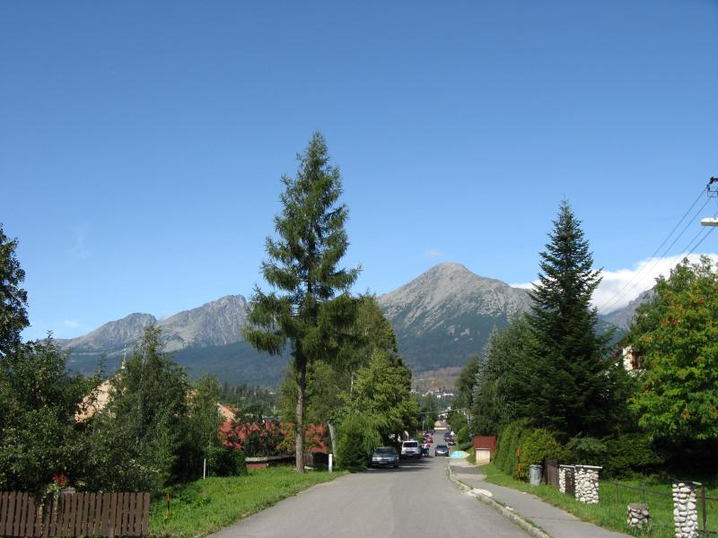 33688.jpg