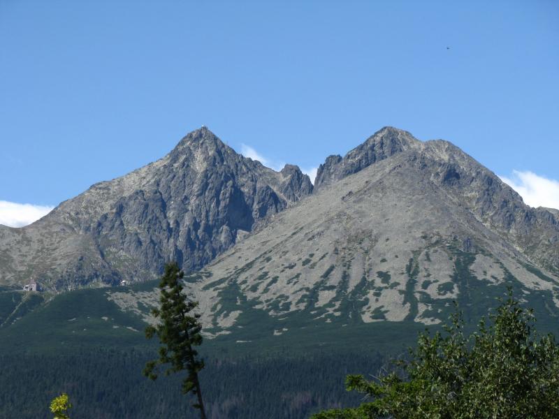 33694.jpg