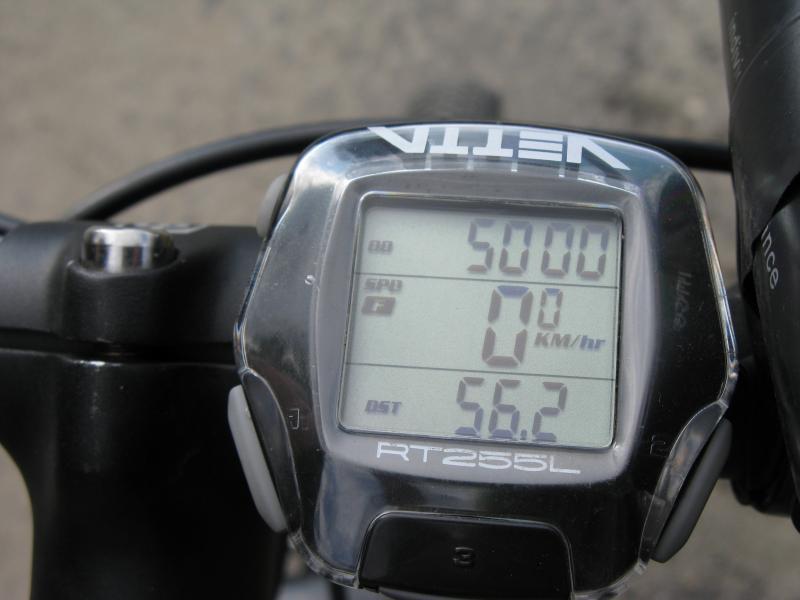 33704.jpg